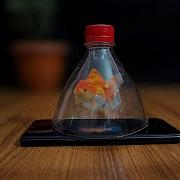 Amazing 3D Hologram Projector From Plastic Bottle DIY Pepper S Ghost Effects
