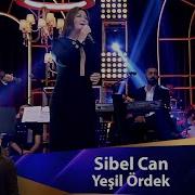 Sibel Can YEŞİL ÖRDEK
