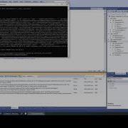 04 C SiLA Training Video Exceptions