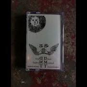 Destruction Unit Direct Mystical Transmission 2013 US Arizona Psychedelic Punk