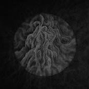 Cloud Rat Moloch Split 2017