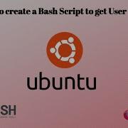 How To Create A Bash Script To Get User Data