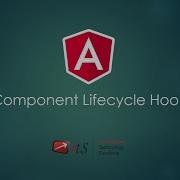 3 3 Component Lifecycle Hook Angular Tutorial ITS
