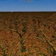 RLE Voxel Rendering Of A High Detailed Scene 2