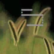 Snake In X86 64 Assembly Lesson 6