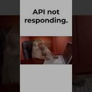 API Not Responding