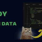 05 Body Data And JSON Parser In Express JS Hindi Desi Programmer