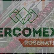 Rosematic 2 0 At Naranjo Roses In Ecuador