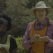 The Gravity Method Geophysics Wits