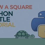 Drawing A Basic Square Using Turtle In Python Beginner S Guide