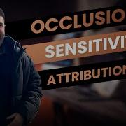 Explainable Machine Learning 4 Occlusion Sensitivity