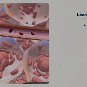 Your Diet And Your DNA Virtual Lab
