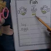 Kindergarten Thinking Map Tree Map Fish