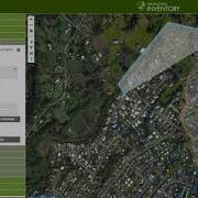 Use The Draw Feature In Tree Plotter