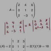 Linear Algebra Advanced Properties Of Determinants And Matrix Operations