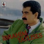 13 YAR DİLİNE