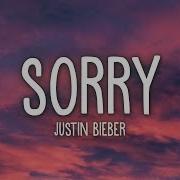 Justin Bieber Sorry Lyrics