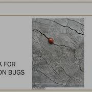 COS 217 Fall 2020 Lecture11 Debugging