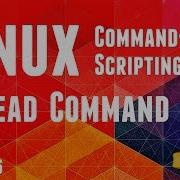 Online Course Linux CLI Scripting Episode6 Head Command