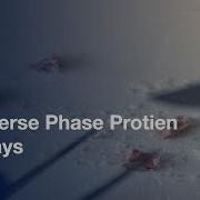 Reverse Phase Protein Arrays Protein Expression Protocol Preview