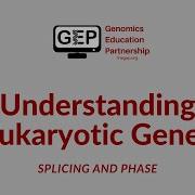 UEG Splicing And Phase