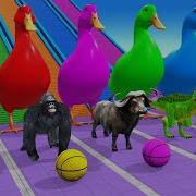 Long Slide Game With Cow Elephant Gorilla Hippopotamus Tiger 3d Animal Game Funny 3d Animals