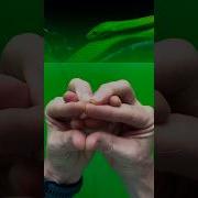 The Classic Hand Snake