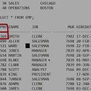 User Defined Data Types In Oracle SQL Day 54
