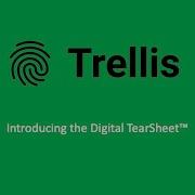 Trellis Digital TearSheet Demo