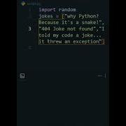 Random Joke Generator In Python 30s