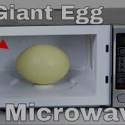 Putting A Giant Rhea Egg In A Microwave Bad Idea