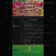 Named Tuples In Python Python Programming Softwareengineering Pythoncoding Visualstudio