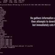 Hacker Caught In SSH Honeypot