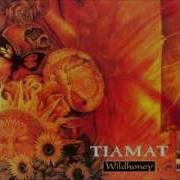 Tiamat Do You Dream Of Me