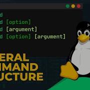 General Command Structure Linux Crash Course Options Arguments Clarified SudoIt Learnlinux