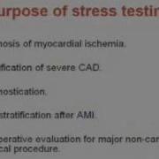 Stress Testing 1