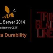 SQL Server 2014 In Memory OLTP Data Durability