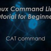 Linux Command Line Tutorial For Beginners Cat Command