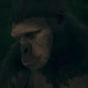 ЭВОЛЮЦИЯ ОБЕЗЬЯНЫ К ЧЕЛОВЕКУ Ancestors The Humankind Odyssey