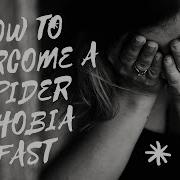 How To Overcome A Spider Phobia Fast 5 Different Ways
