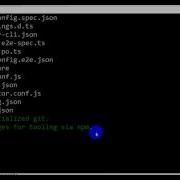 Angular 4 Install On Windows