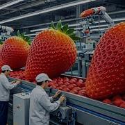 How Strawberry Jam Is Made In A Modern Factory From Fresh Strawberries To Sweet Perfection