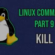 Kill Process Manually Using Kill Command Linux Commands Part 9