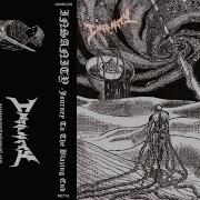 INSANITY Chi Journey To The Blazing End Demo II 2010