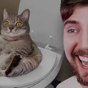 Impossible Try Not To Laugh Challenge