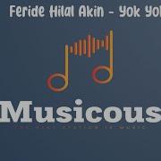 Feride Hilal Akin Yok Yok Sözleri Lyrics