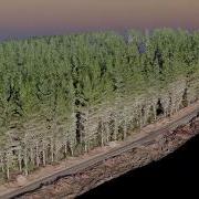 Drone 3D Scans The Forest With Structure From Motion Photogrammetry