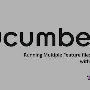 4 Cucumber Framework Custom TestNG Runner Running Multiple Feature File
