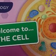 A Tour Of The Cell Crash Course Biology 23