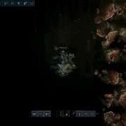 DARKORBIT LOW GATE CENTURY BUG 2014